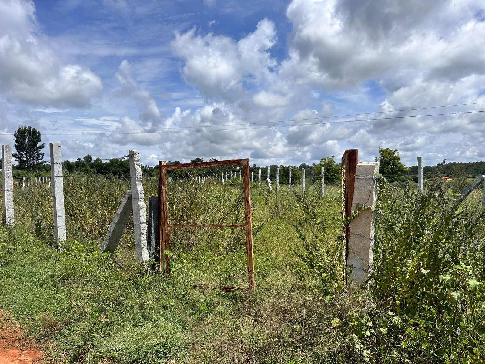   20.5 Guntas land for Sale with compound fencing for sale in Doddaballapura