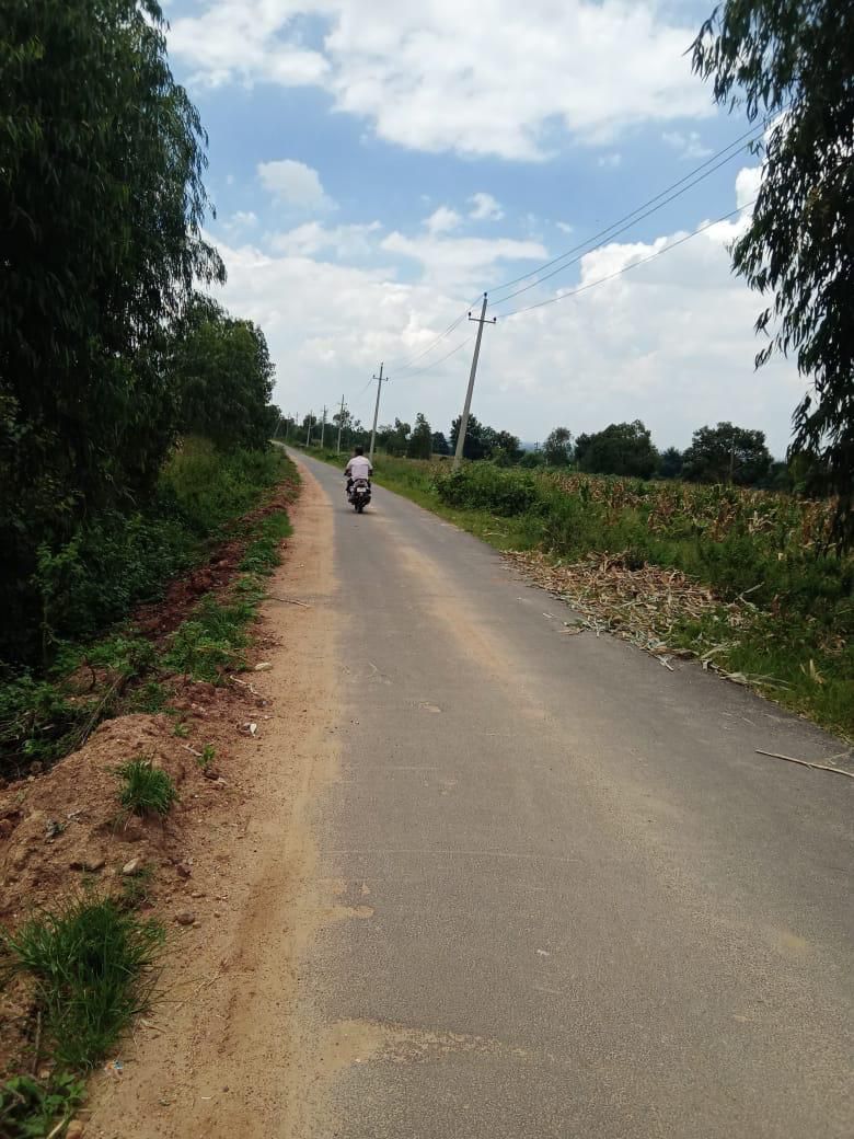 3 acre 31 Gunta agricultural land for sale in Hassan