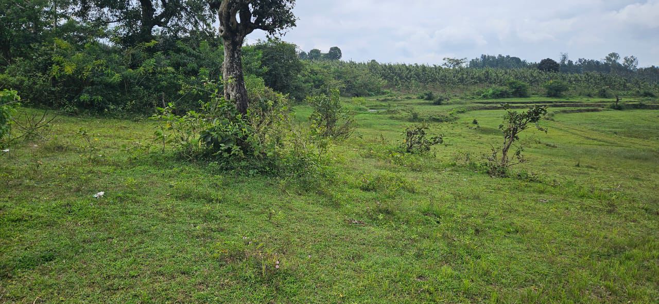 8 acre agri land for sale in Alur taluk Hassan dist 