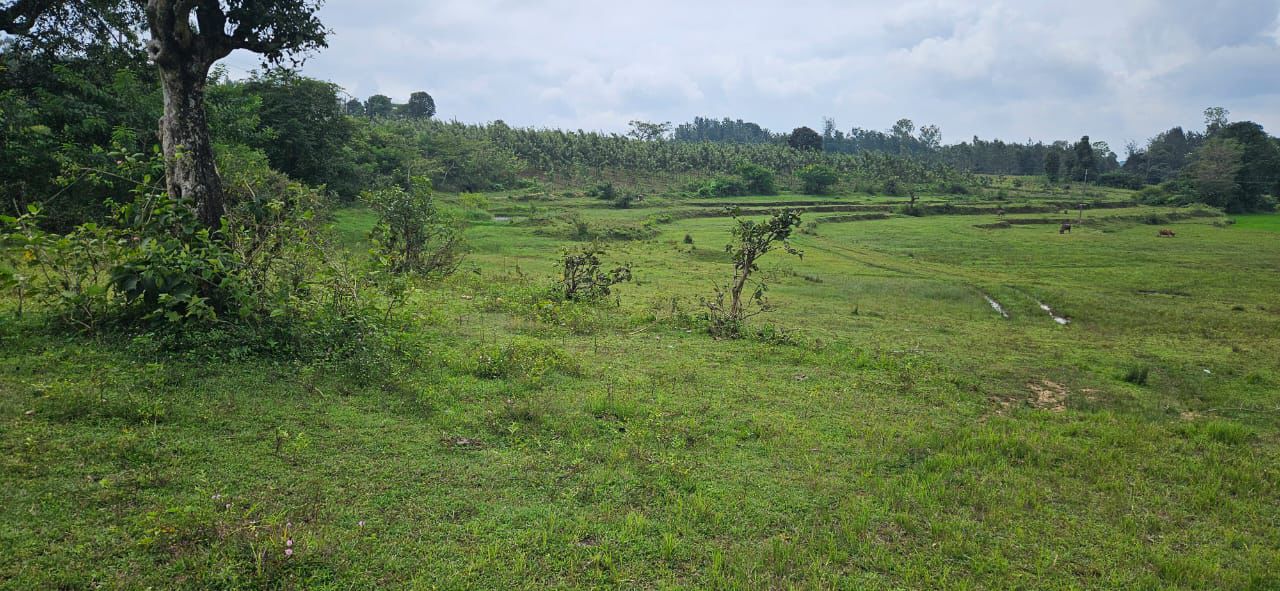 8 acre agri land for sale in Alur taluk Hassan dist 