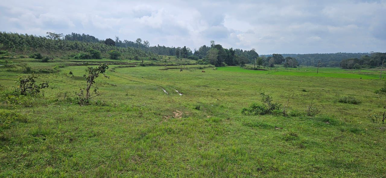 8 acre agri land for sale in Alur taluk Hassan dist 