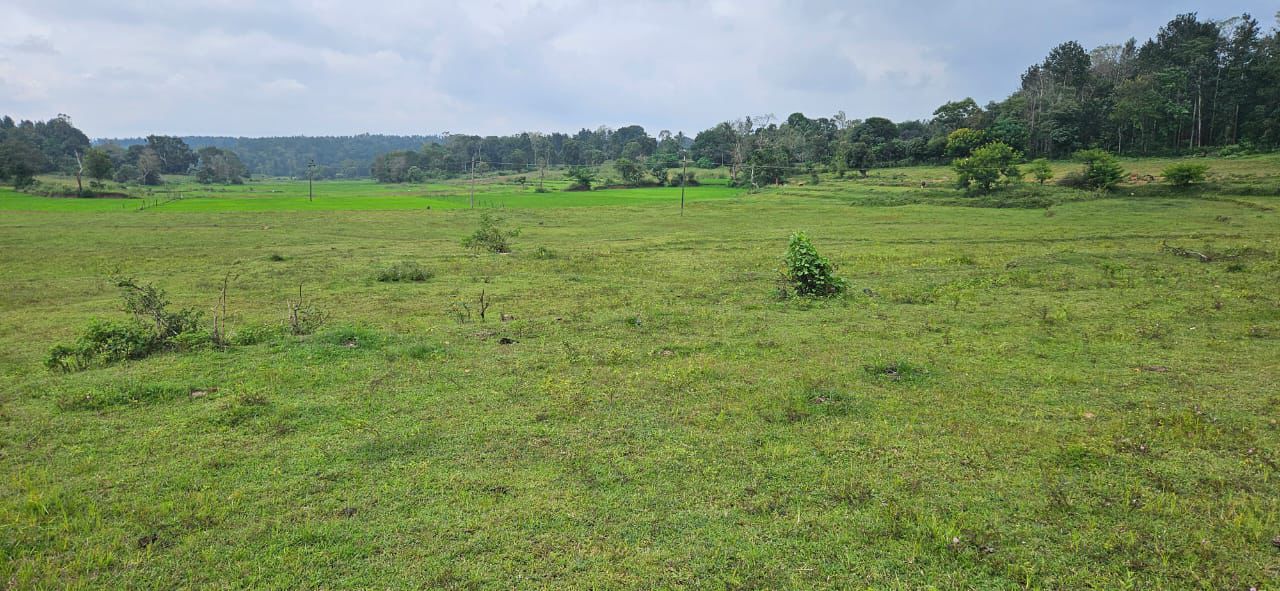 8 acre agri land for sale in Alur taluk Hassan dist 