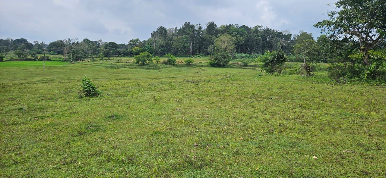 8 acre agri land for sale in Alur taluk Hassan dist 