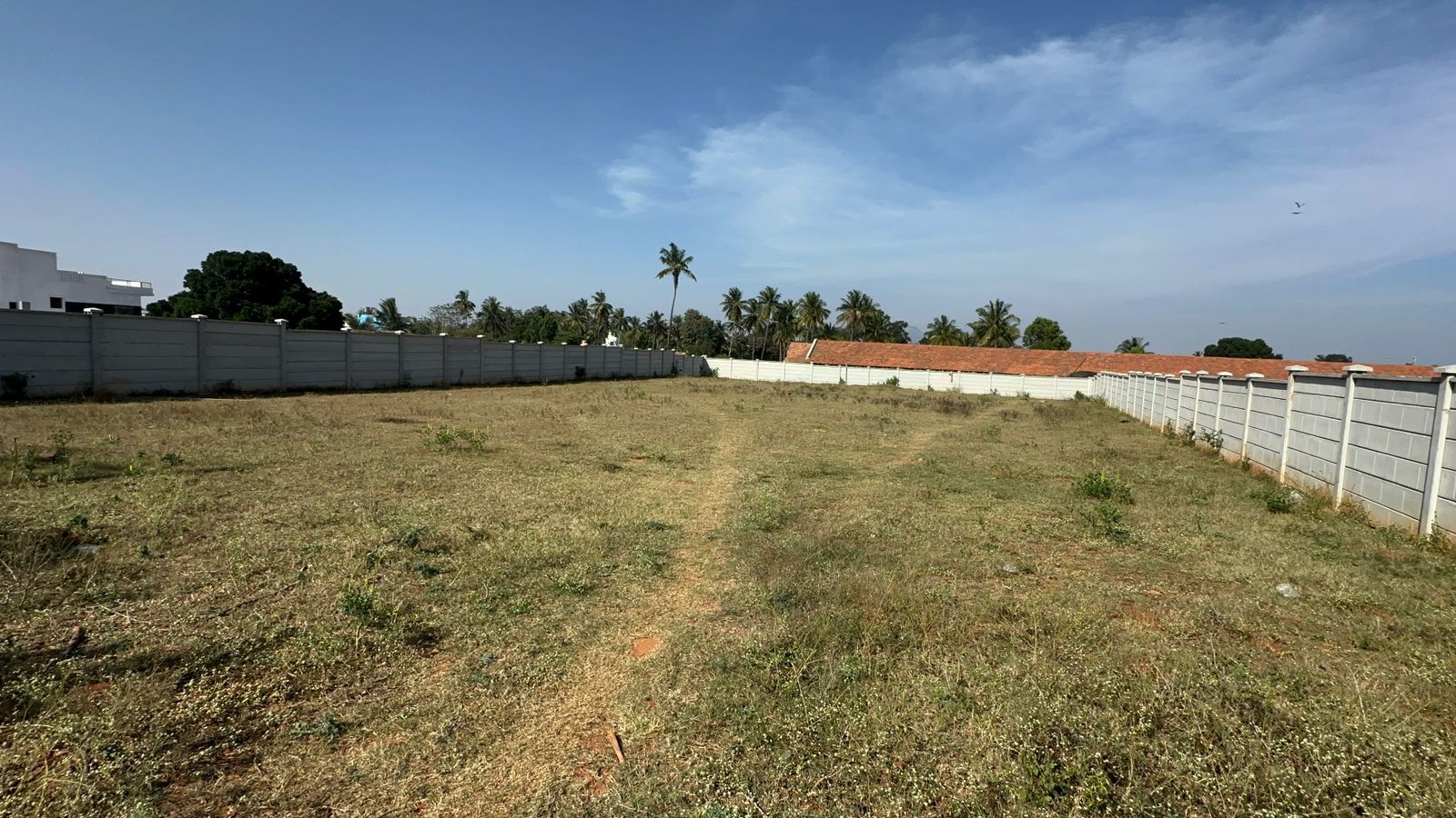 *12 Guntas + 2 Guntas Karab land for Sale @ Devanahalli