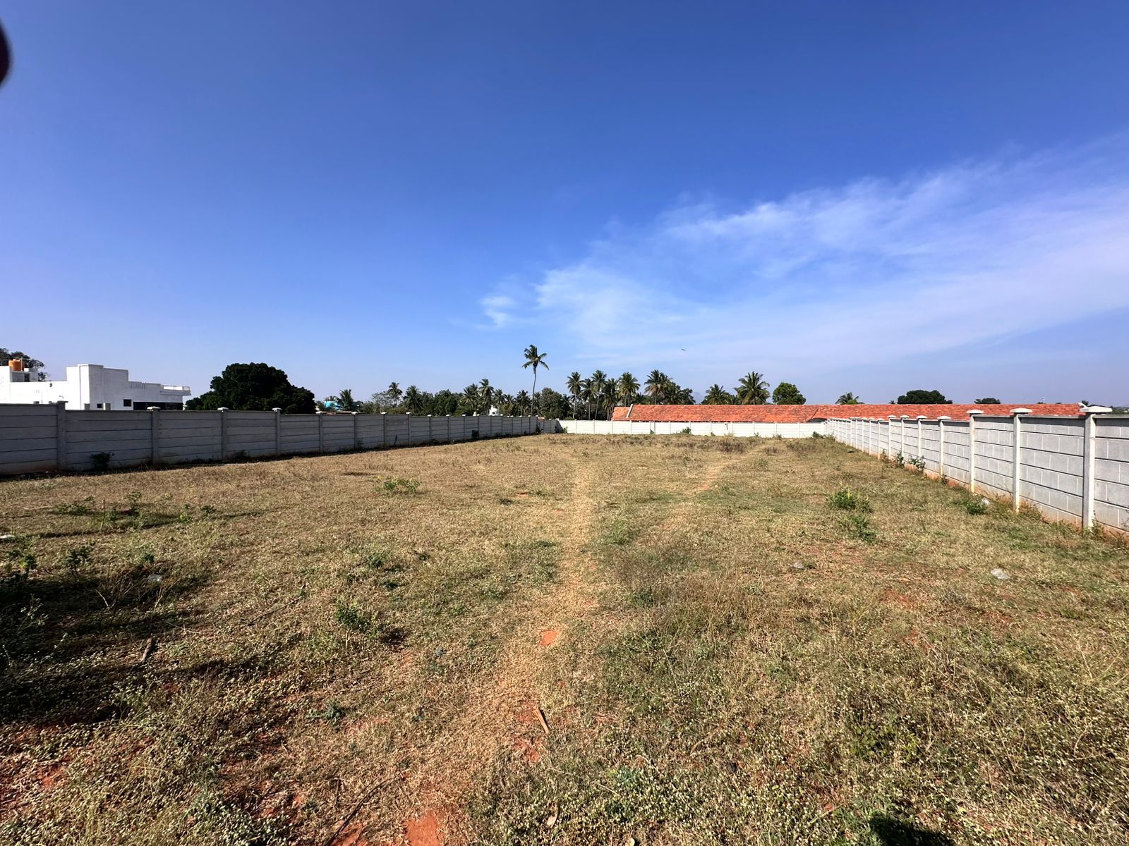 *12 Guntas + 2 Guntas Karab land for Sale @ Devanahalli