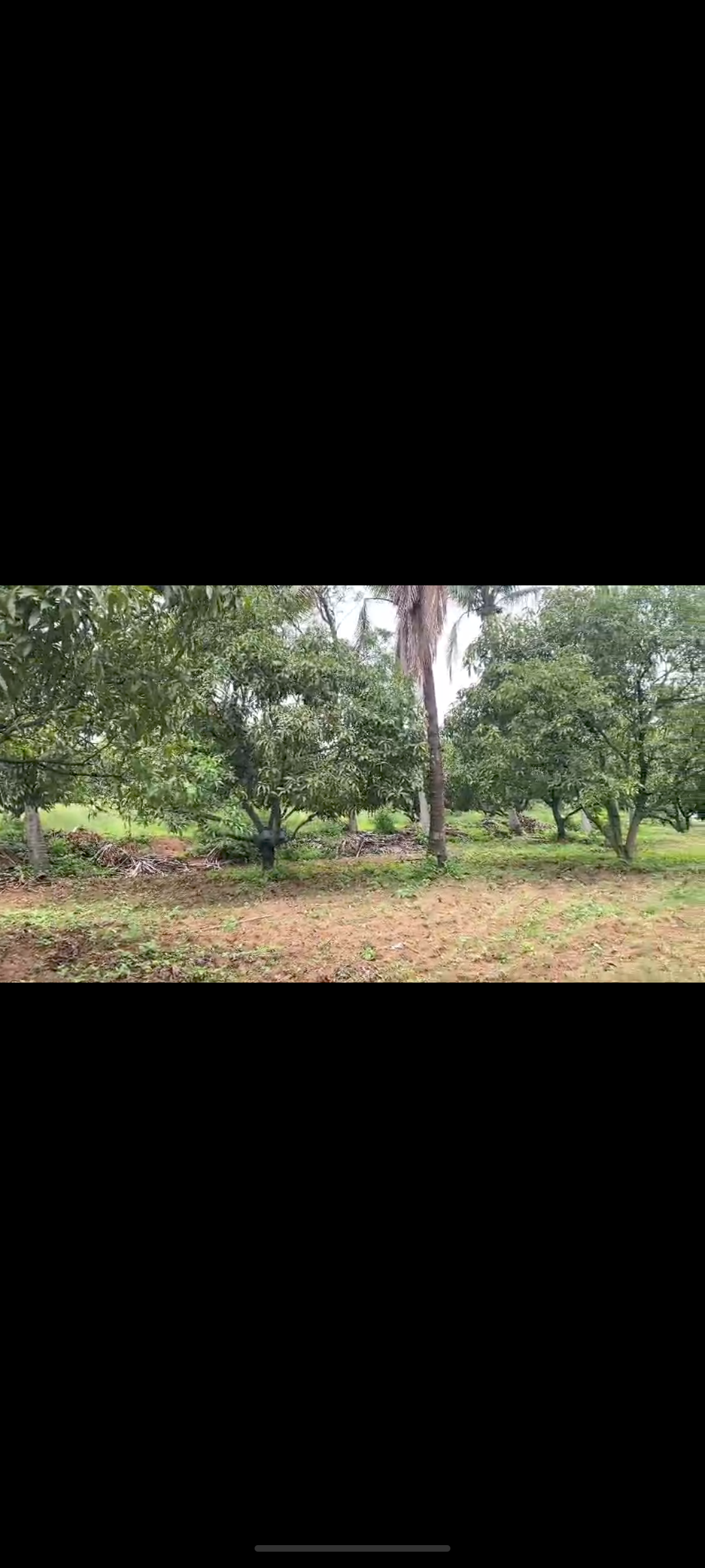 *7.5 acre residential converted land for sale in Doddaballapura town*