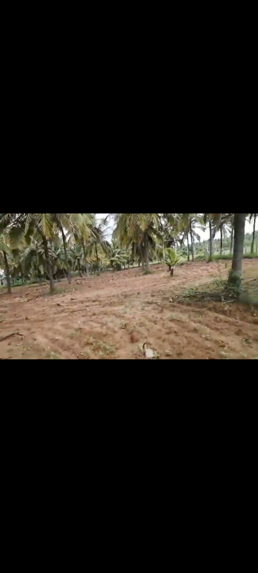 *9 Acre Farm Land for Sale near Yediyur*