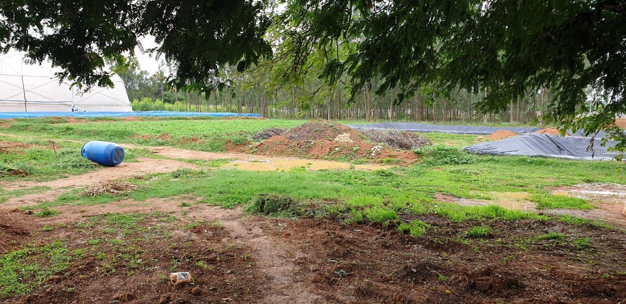 1.30 acre Developed Agricultural Land for Sale in Devanahalli