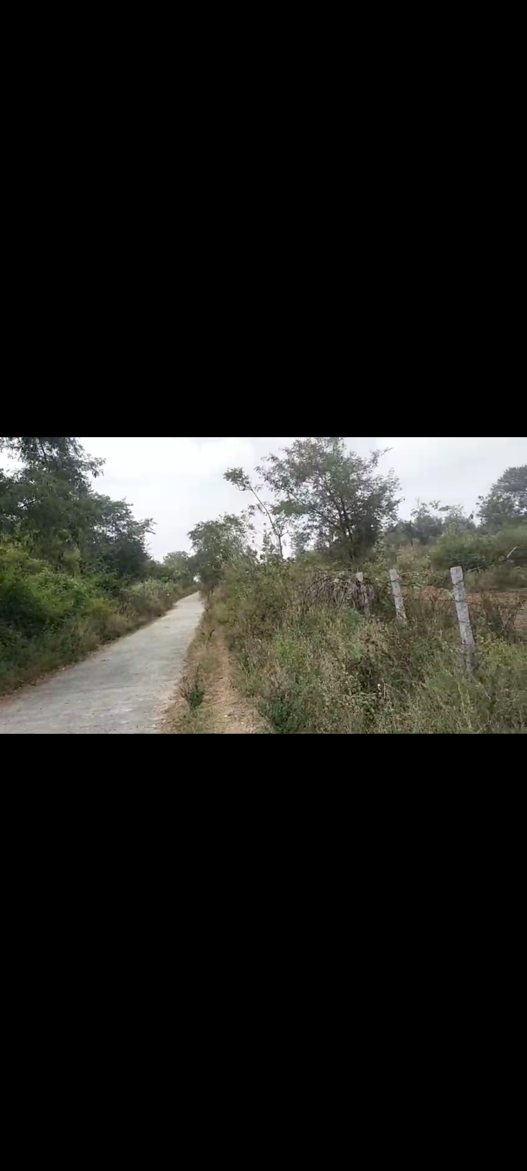 11 Acre General Property for Sale in Kankapura 