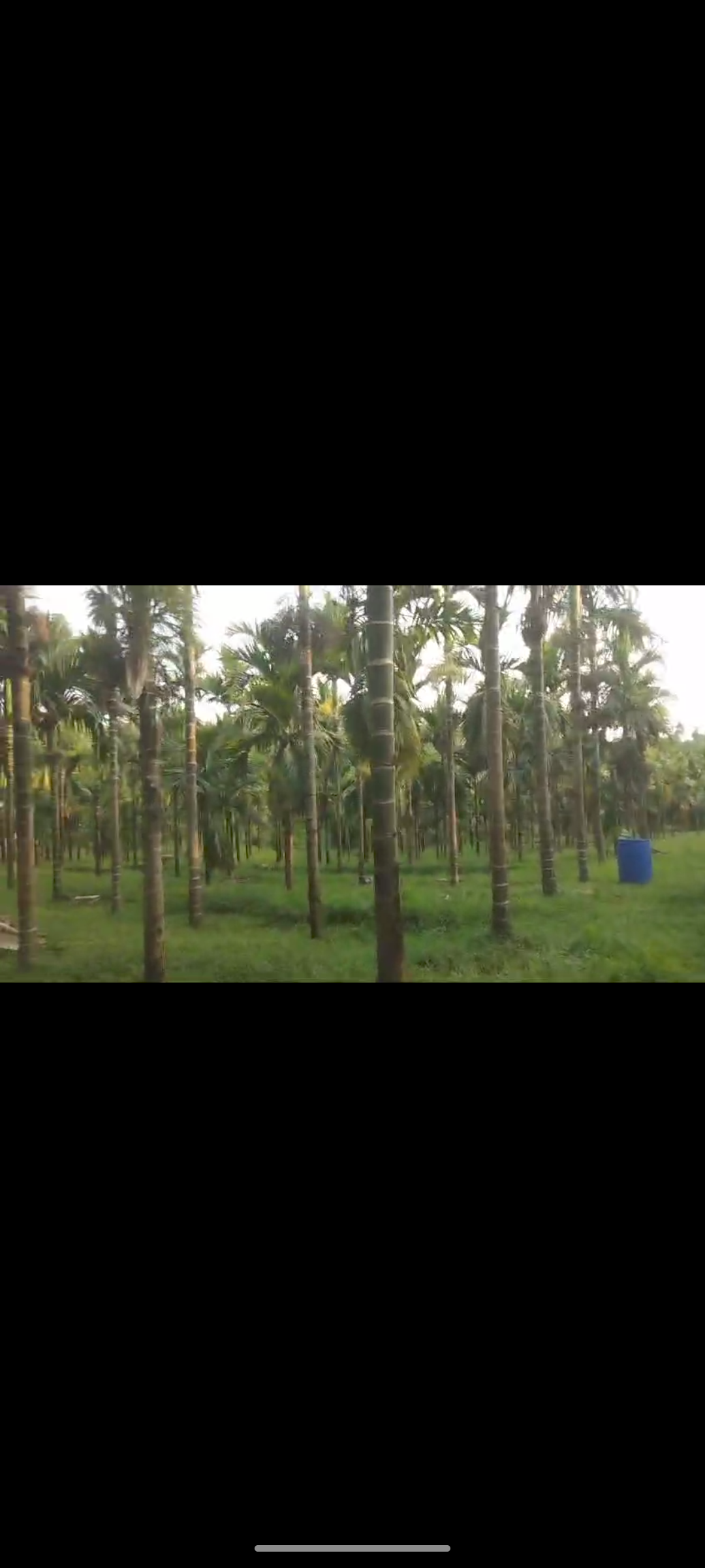 21 Acre Agricultural Land for Sale near Kundapura, Udupi District*