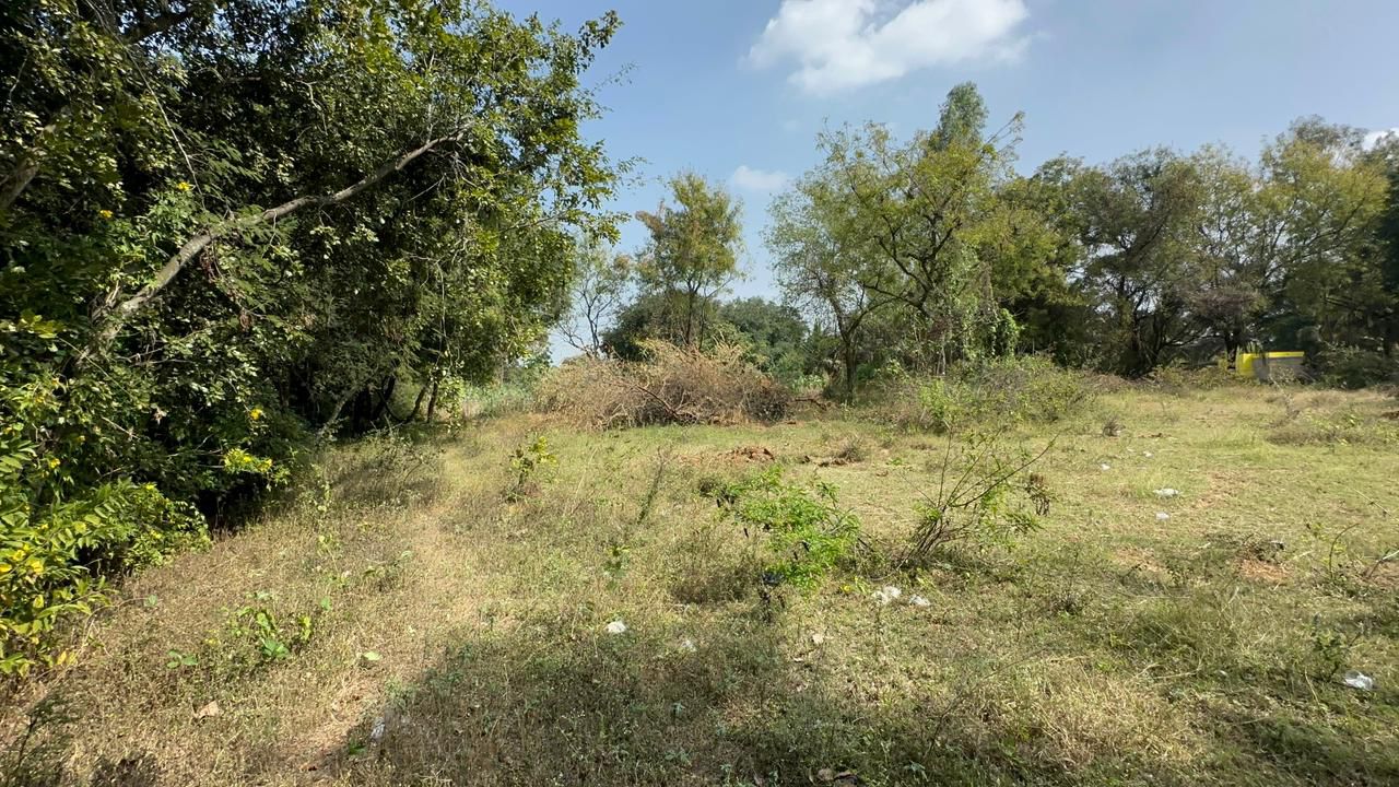 22 Guntas land for sale attached to a water channel @ Doddabalapura