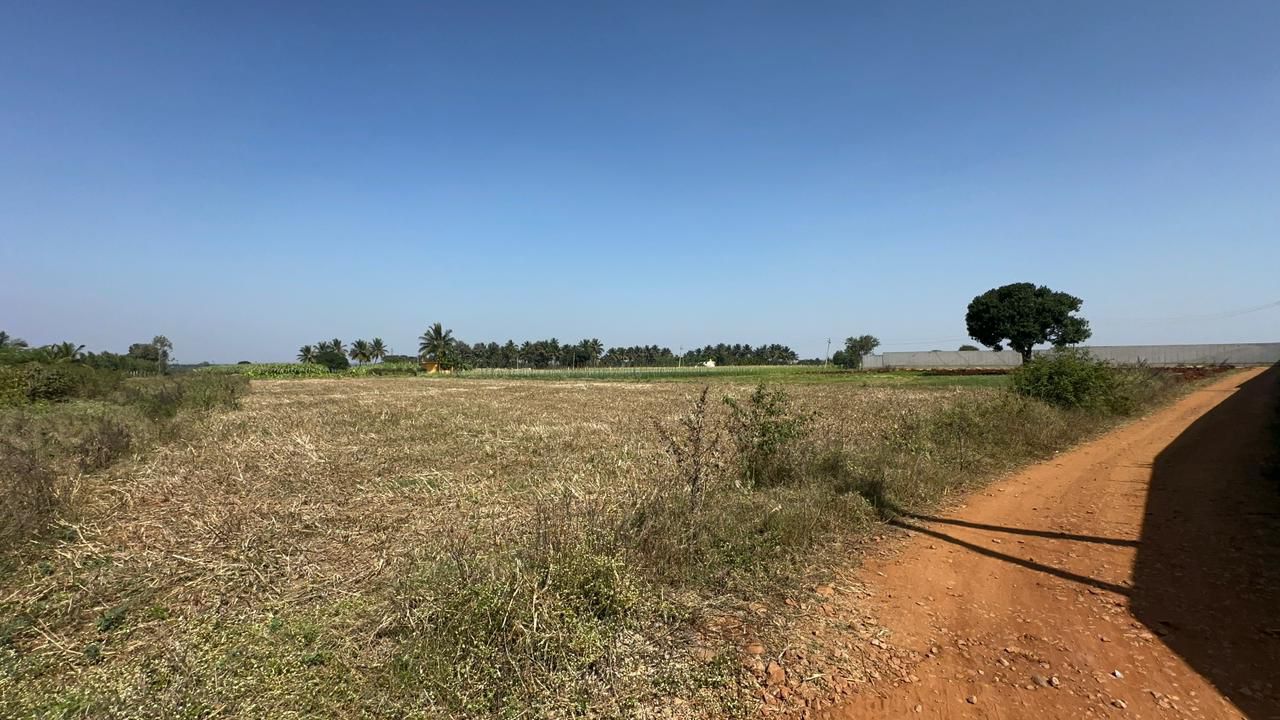 28 gunta Kasaba Hobli, Doddabalapura taluk, Bangalore rural