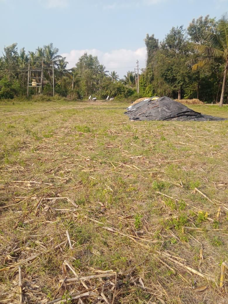 2 acre agri land for sale in Hassan