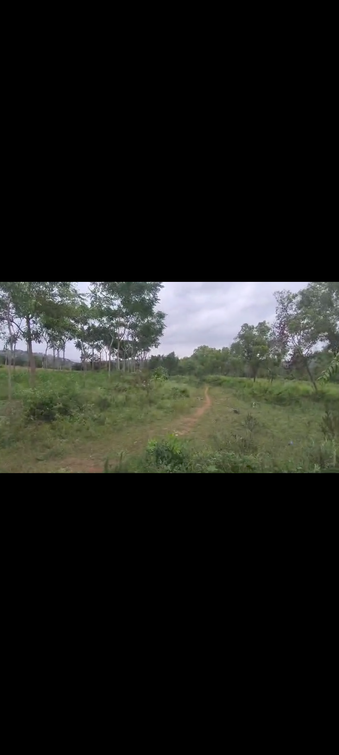 31 Guntas Land for Sale in Kankapura*