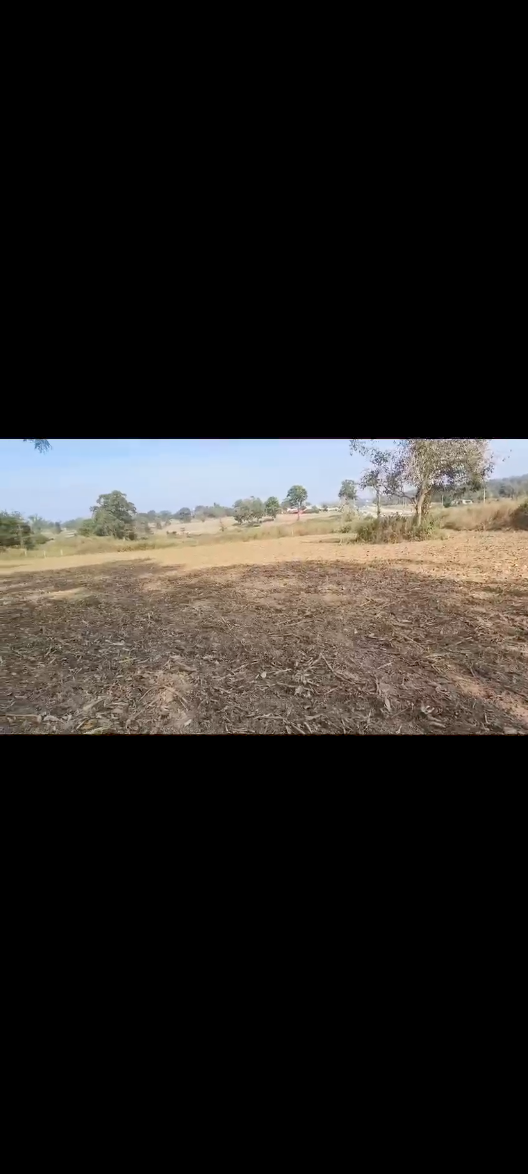 36 gunta land for sale in Hassan - Mangalore highway