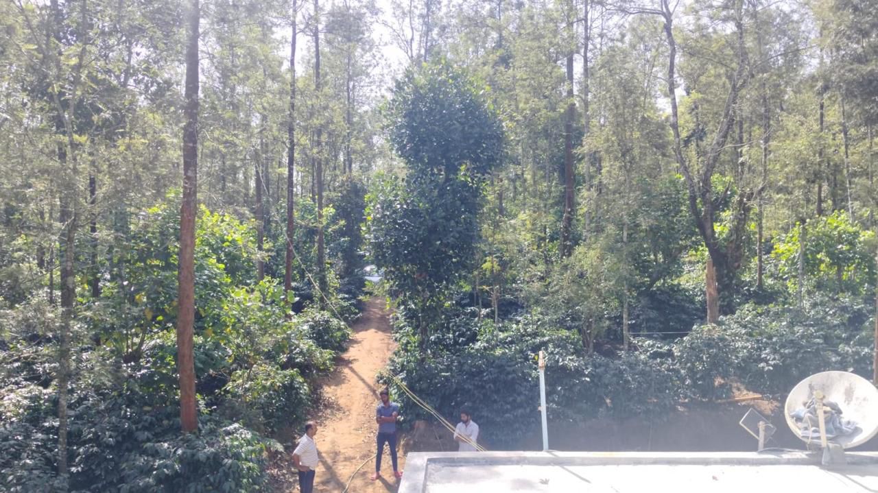 4 acre well maintained coffee estate for sale in Belur