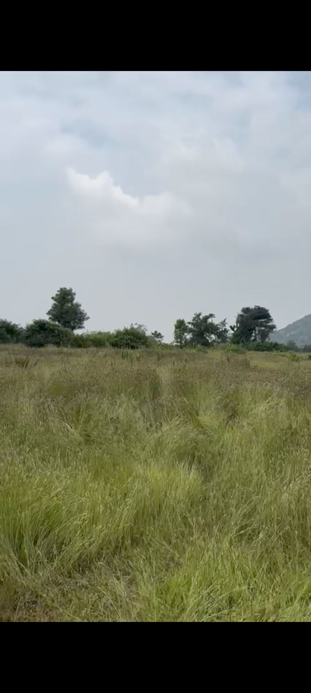  6 Acres 10 Guntas for Sale@ Manchenahalli