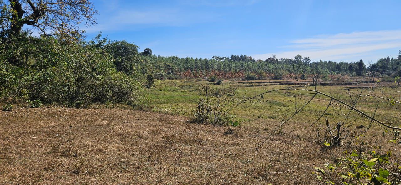 8 acre agri land for sale in Alur