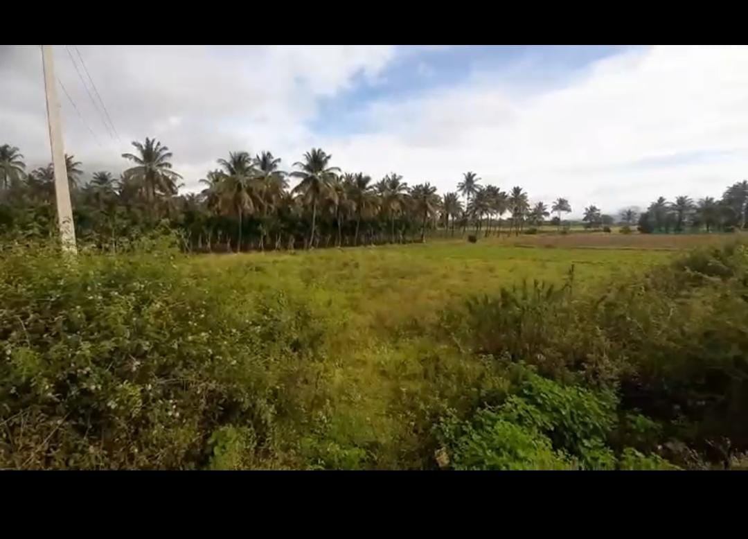 : Kadur highway, Chikkamgaluru - Land Area: 3 acres
