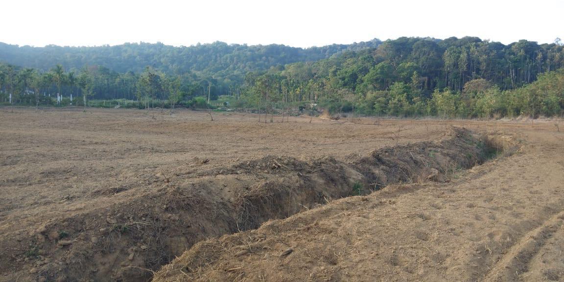 : Mudigere, in between Mudigere and Belur, 1 km from Belur main road - 3-acre agri land for sale