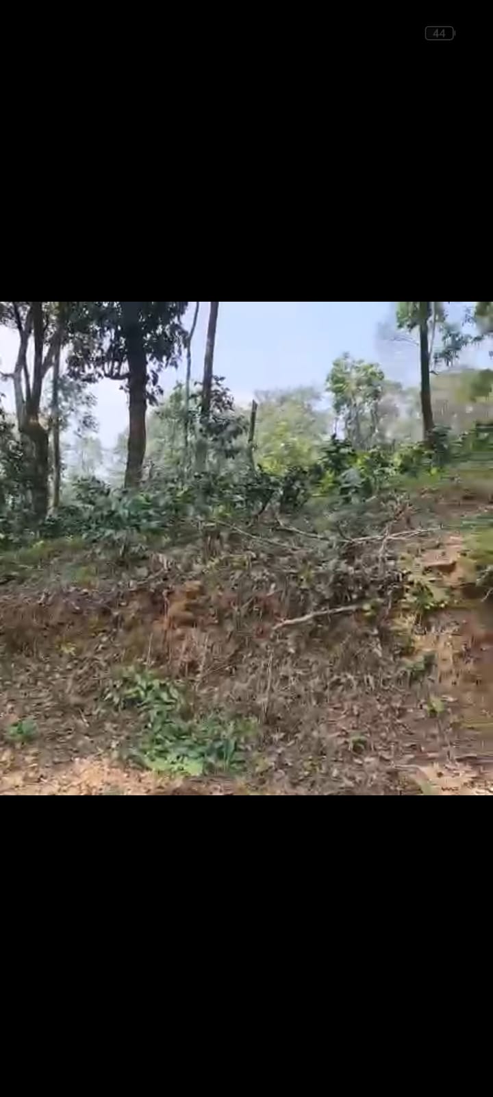 Bettathuru, Madikeri, 18 km from Madikeri - 3-acre plantation for sale