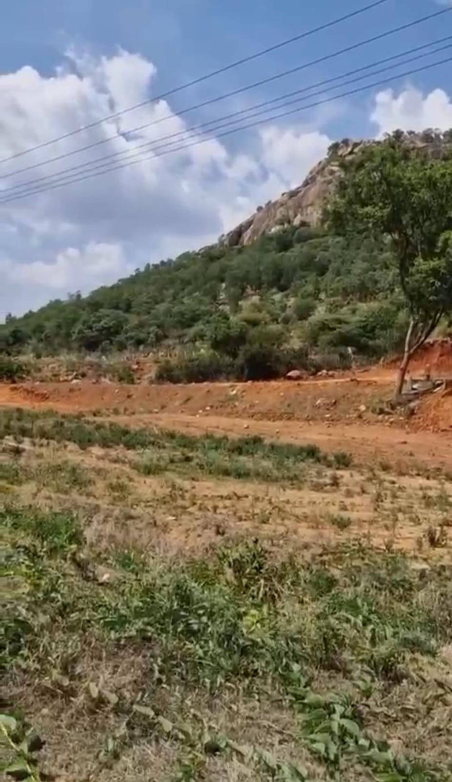 Doddabalapura - 1 acre hill attached land