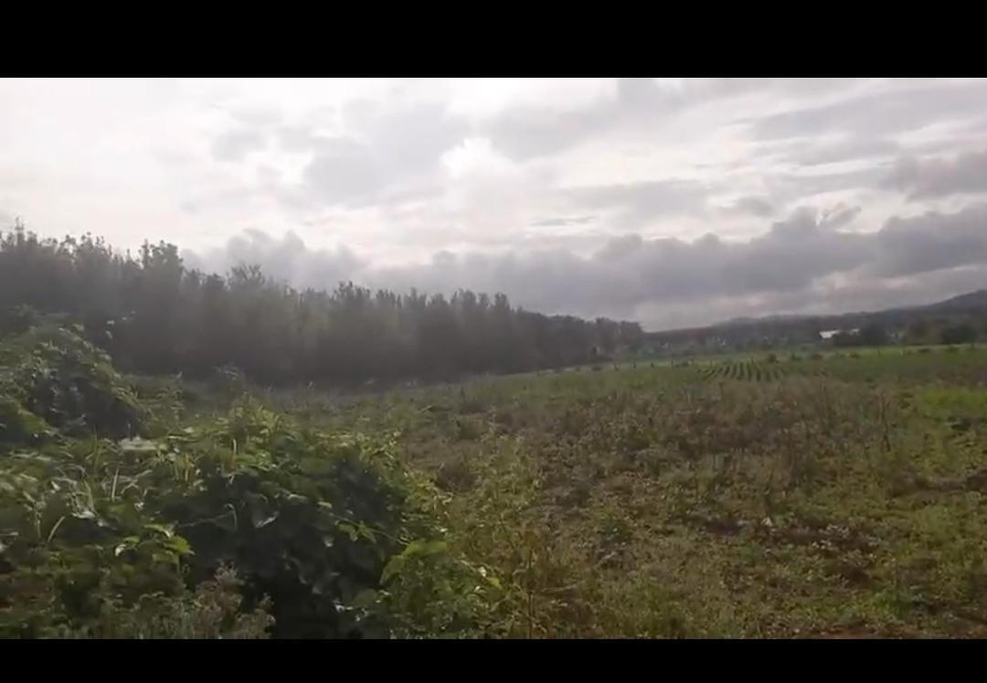  Kadur highway, Chikkamgaluru - Land Area: 2 acres