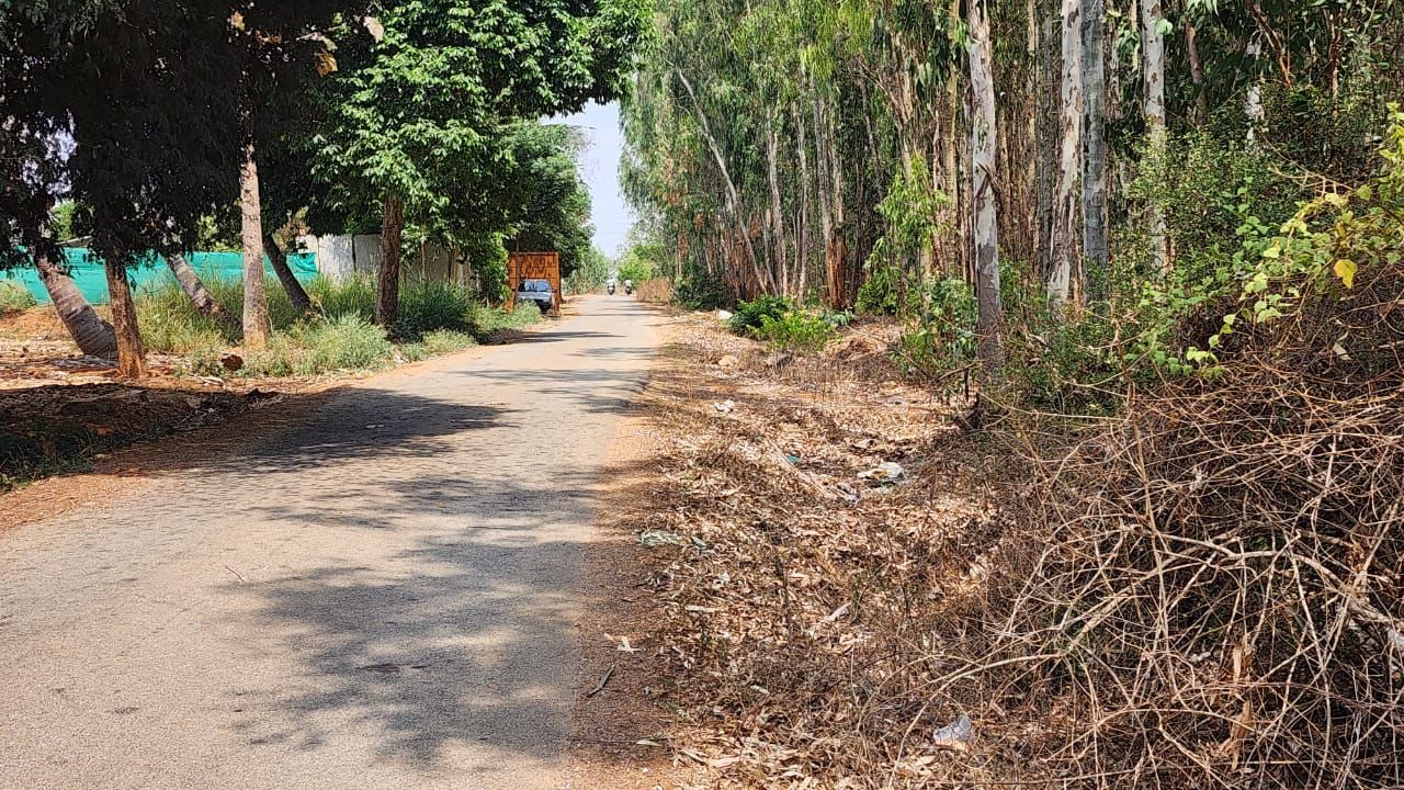 Land for Sale near Nandi Hills!  - 1.25 acres land