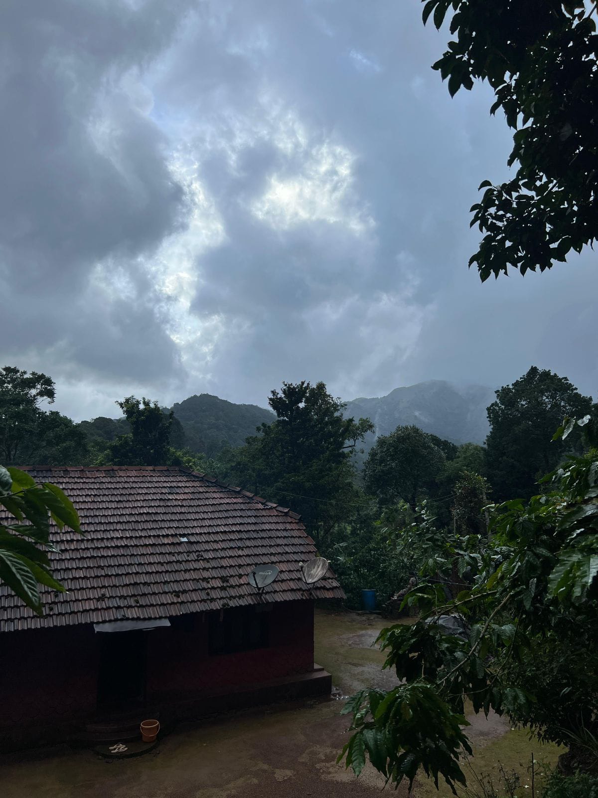 Near Bettathuru, Madikeri, Coorg dist - 1 acre 70 cent coffee and pepper plantation for sale