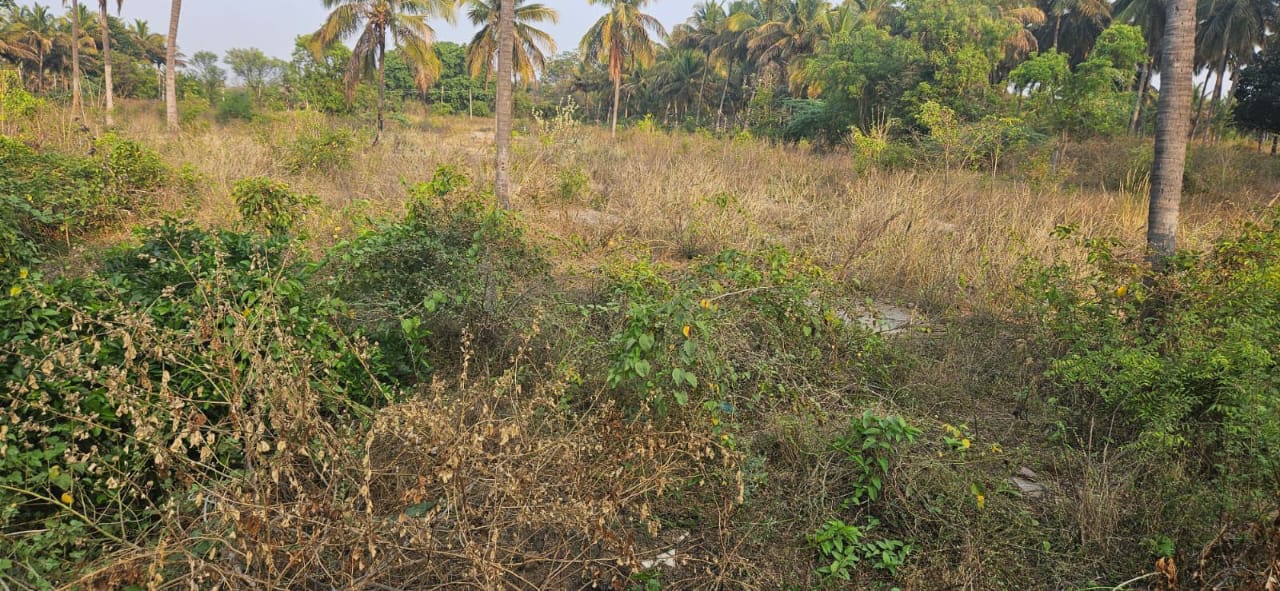 Near Channapattna, Bengaluru south district - 4.18-acre industrial converted land for sale