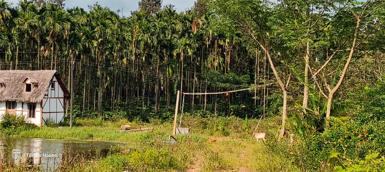 Property ID – 5121* *2 Acre 8 Gunta – Partially Constructed Eco-Resort for Sale – Near Chikkamagaluru City