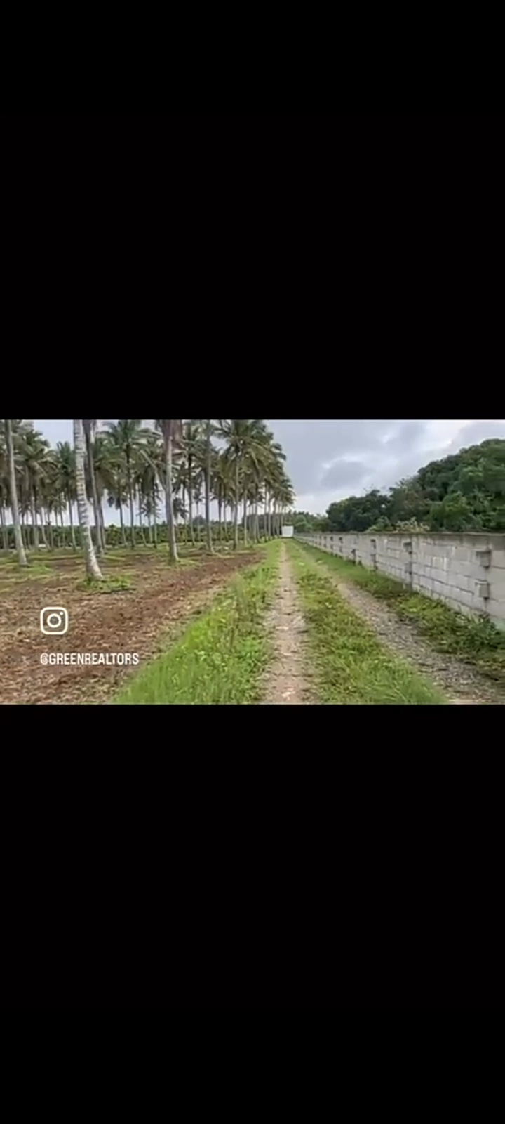 Property ID – 5122*  🥥🌿 *8 Acre Well-Maintained Coconut Plantation for Sale – Hassan*