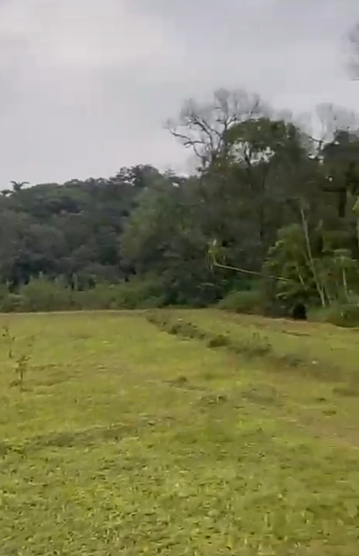 Property ID – 5128*  ☕🌿 *150 Acre neglected Coffee & Cardamom Estate for Sale –Madhapur, Coorg*