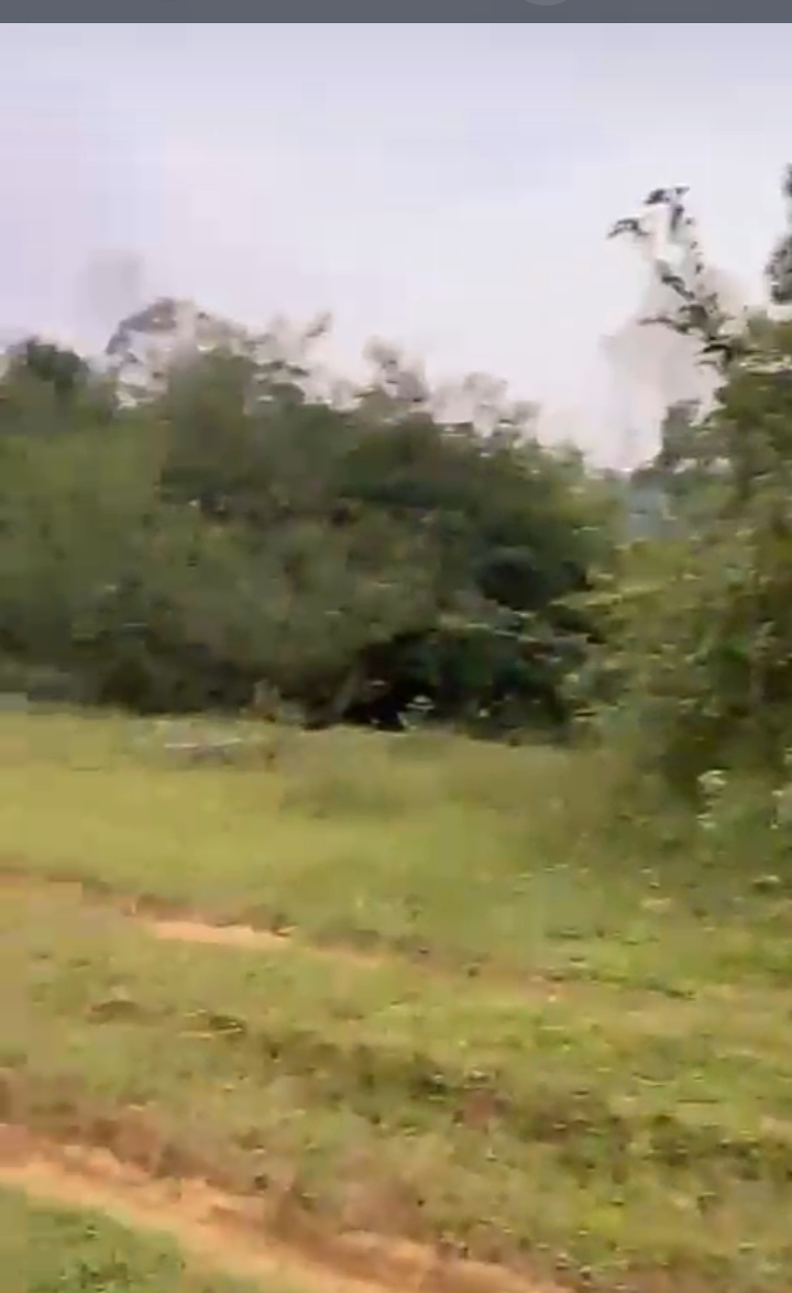 Property ID – 5128*  ☕🌿 *150 Acre neglected Coffee & Cardamom Estate for Sale –Madhapur, Coorg*