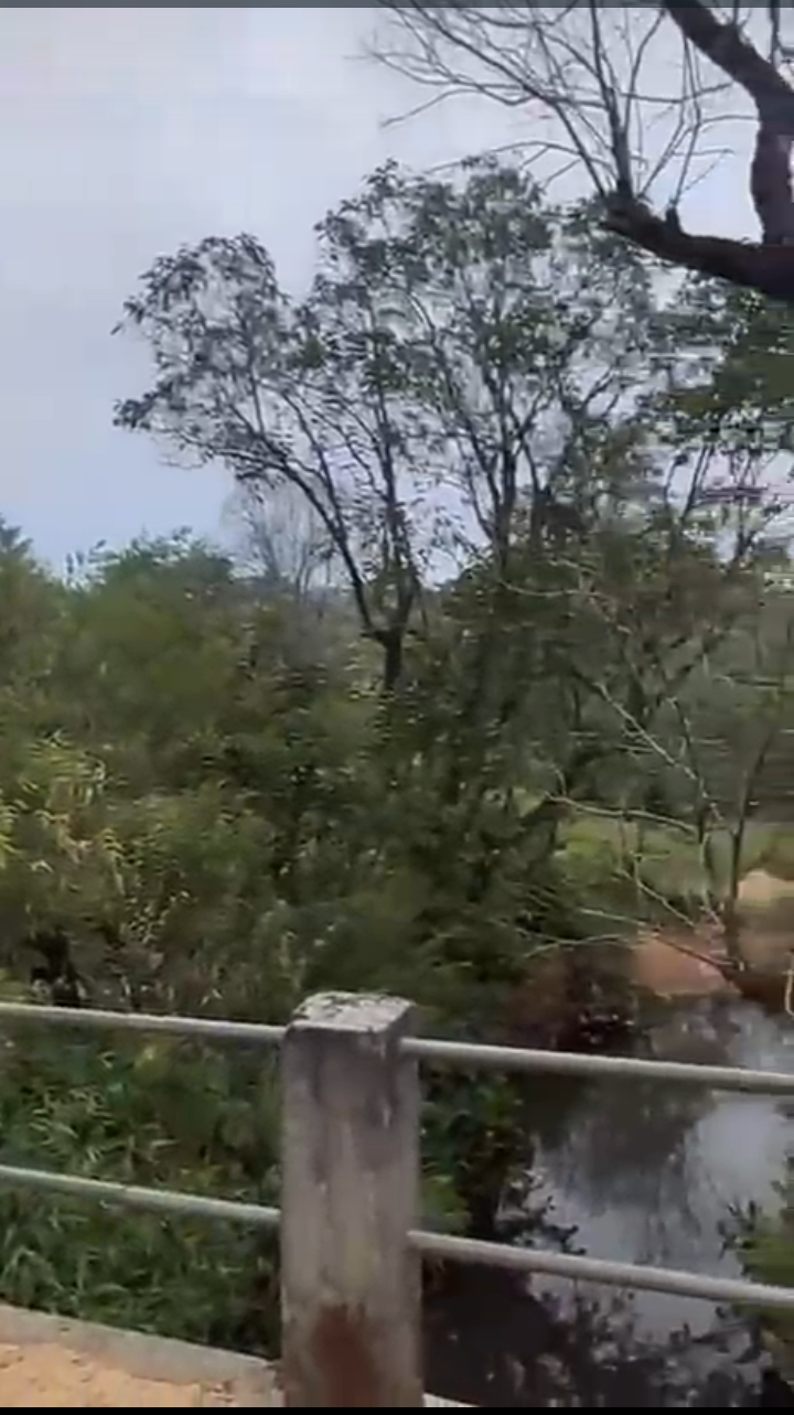 Property ID – 5128*  ☕🌿 *150 Acre neglected Coffee & Cardamom Estate for Sale –Madhapur, Coorg*