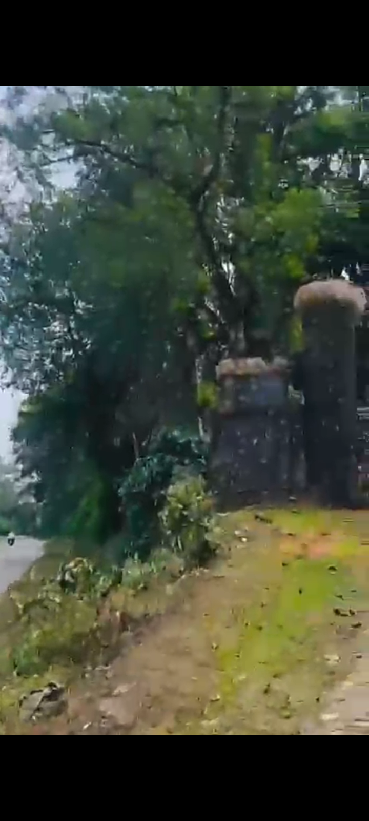 Property ID – 5133*  ☕🌄 1.5 Acre Premium Coffee Estate for Sale – Just 2 km from Madikeri Circle (Coorg) 🌿