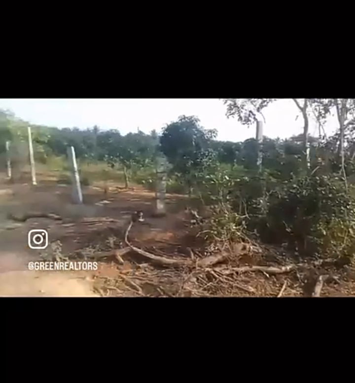 Property ID – 5132*  🌾 *4.08 Acre Agricultural Land for Sale – Sulibele, Hoskote Taluk 🌿*