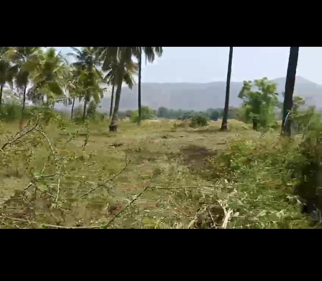 Srirangapatna, Kaveri river attached, city limit - Red soil, 3 BHK farm house, labour shed, 1 borewell