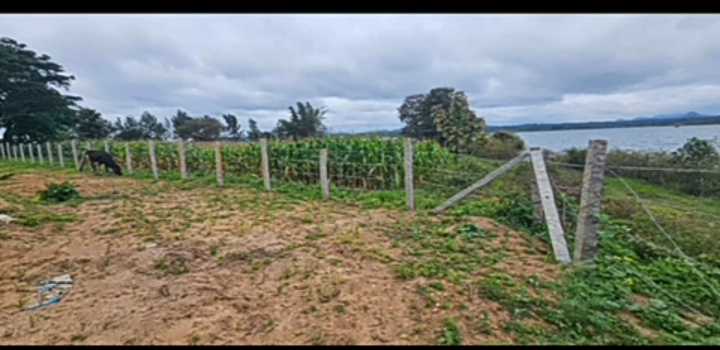 property id 5127*  🌊🥭 *5 Acre Backwater-Attached Mango Plantation for Sale – Hassan*🌿