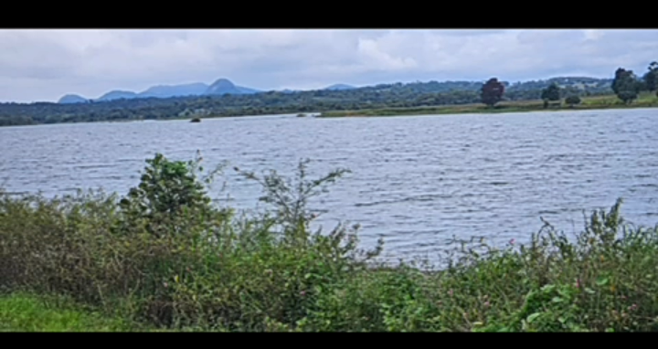 property id 5127*  🌊🥭 *5 Acre Backwater-Attached Mango Plantation for Sale – Hassan*🌿