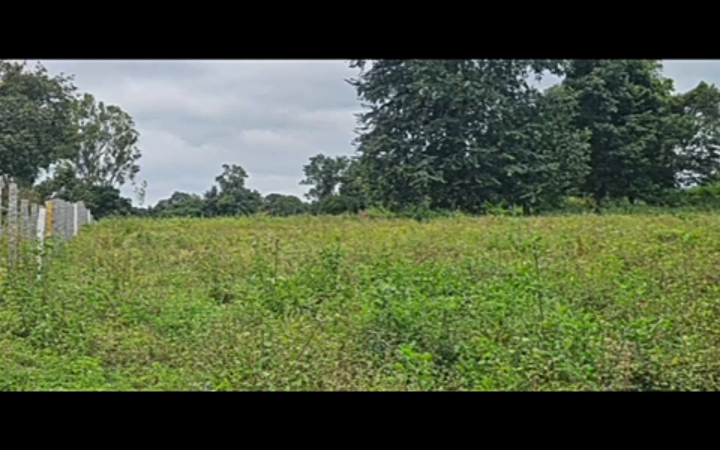 property id 5127*  🌊🥭 *5 Acre Backwater-Attached Mango Plantation for Sale – Hassan*🌿