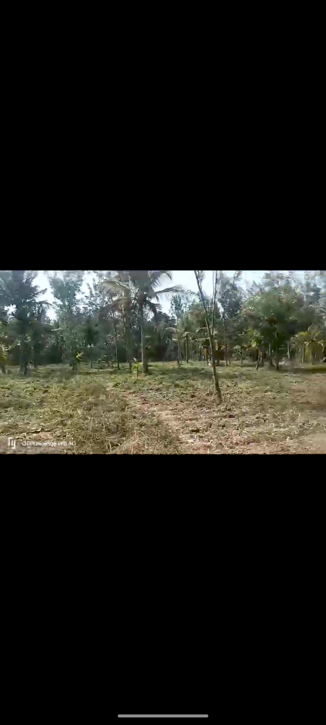 river facing 12 acre plantation for sale in Hassan