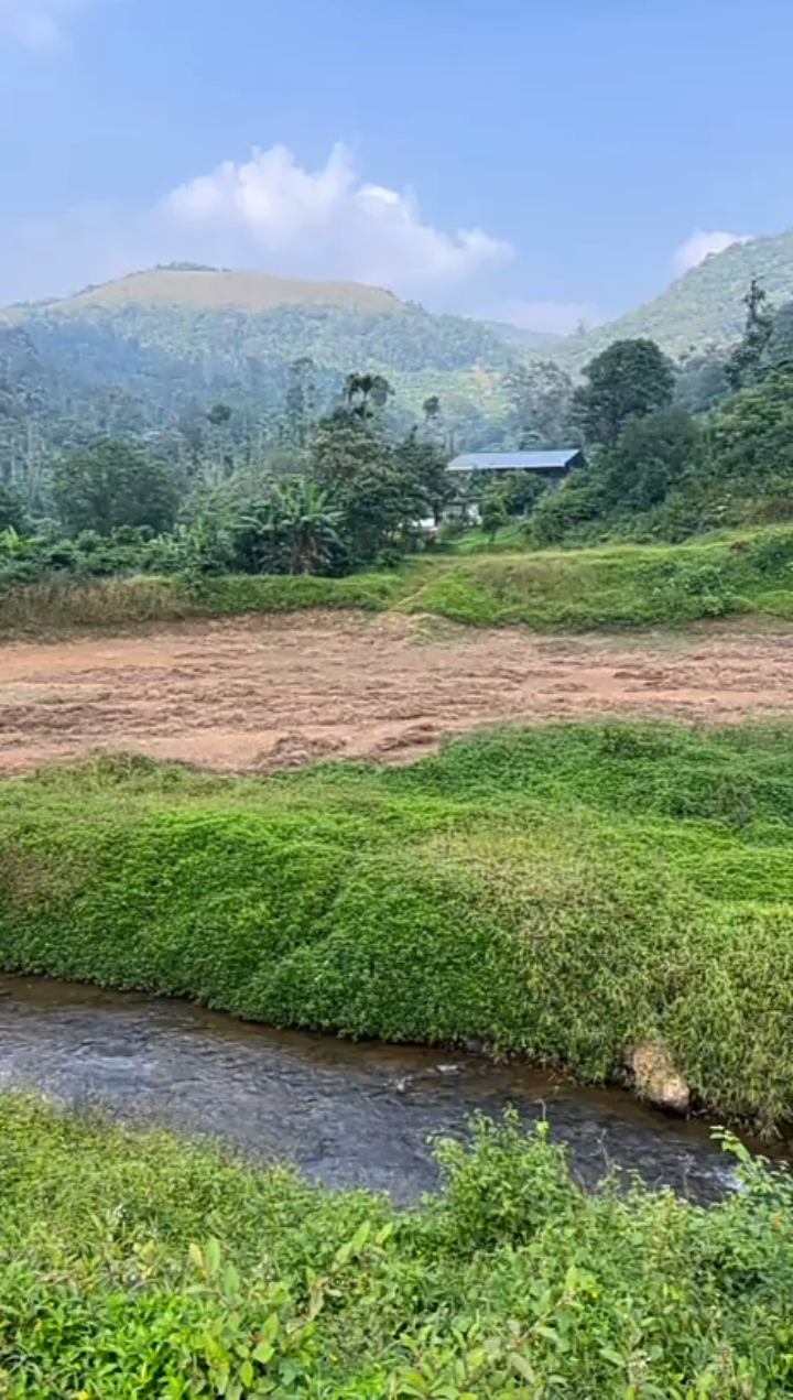 🆔 *Property ID – 5125*  🏞️🌿 *1.42 Acre Highway-Touch Property for Sale – Near Madikeri* (Mangalore Highway