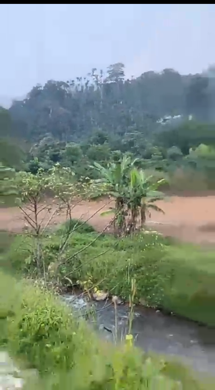 🆔 *Property ID – 5125*  🏞️🌿 *1.42 Acre Highway-Touch Property for Sale – Near Madikeri* (Mangalore Highway